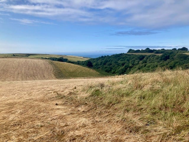 View from top road